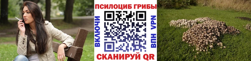 купить наркотики сайты  мега как войти  Галлюциногенные грибы Psilocybine cubensis  Энем 